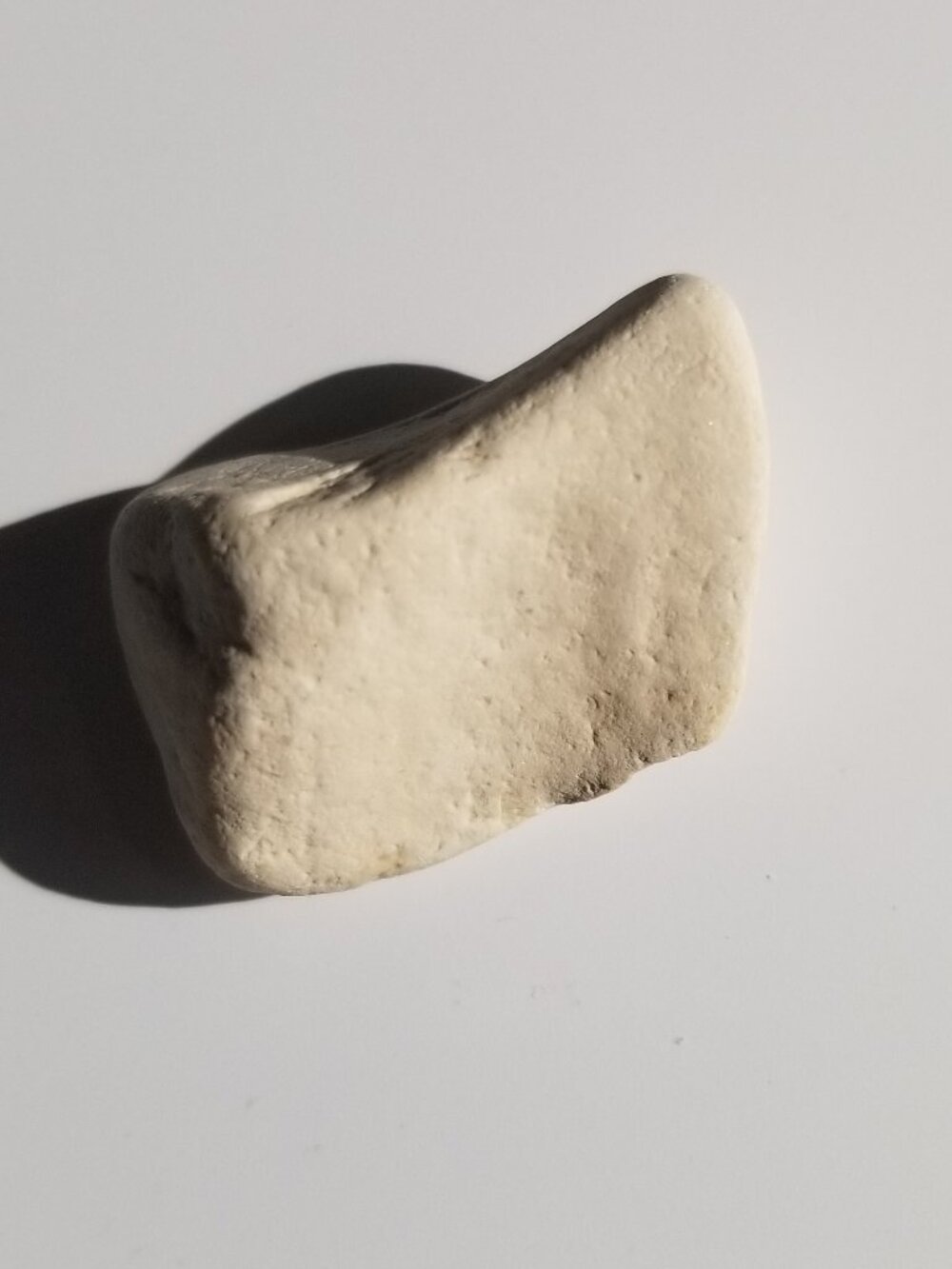 Unvarnished Rock Specimen - Limestone(?) Saddle Rock, Small